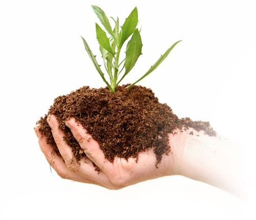 hand with compost