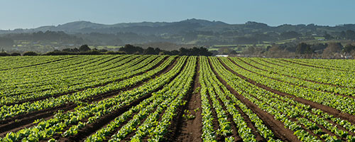 image of soil improvement