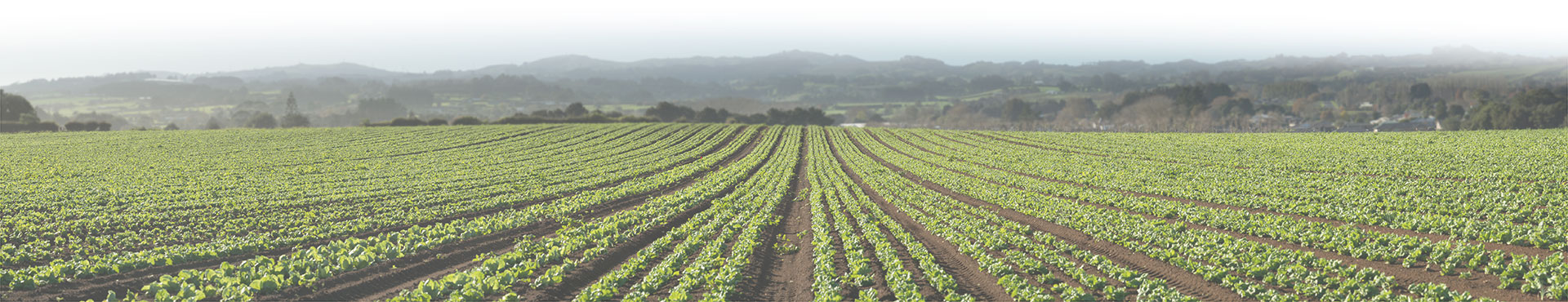 Envirofert field